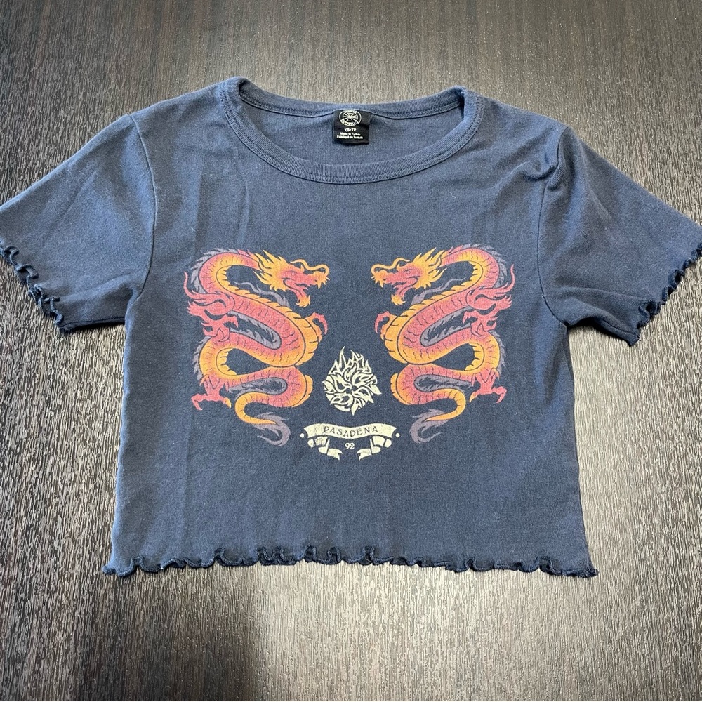 Urban Outfitters graphic cropped tee